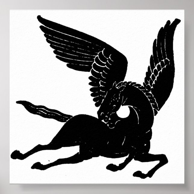 Pegasus Poster (Vorne)
