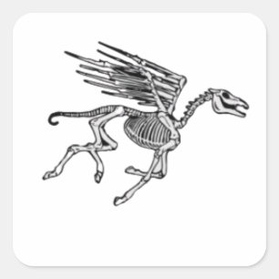 Pegasus Skeleton über das Frauenplus Quadratischer Aufkleber
