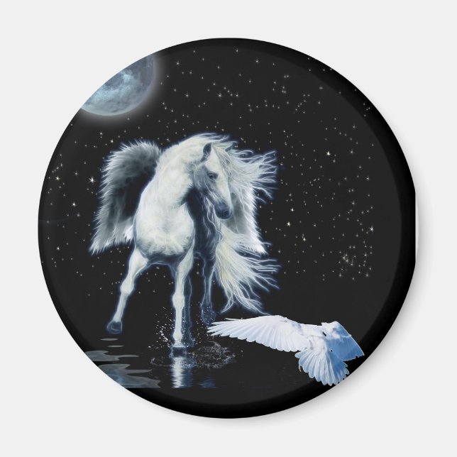 PEGASUS & WHITE RAVEN Collection Magnet (Vorne)
