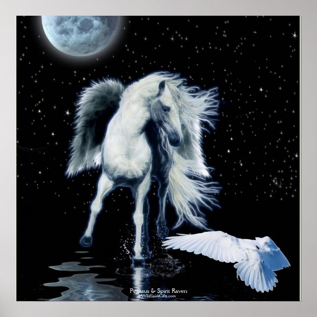 PEGASUS & WHITE RAVEN Fantasy Poster (Vorne)