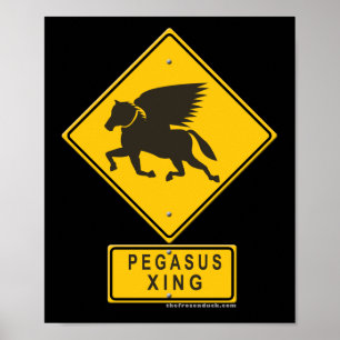 Pegasus XING Poster
