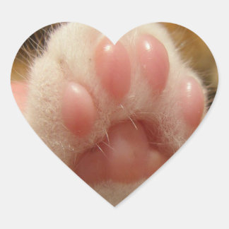 Pegatina de pata de gato Herz-Aufkleber