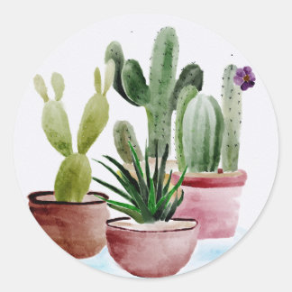 PEGATINAS CACTUS RUNDER AUFKLEBER