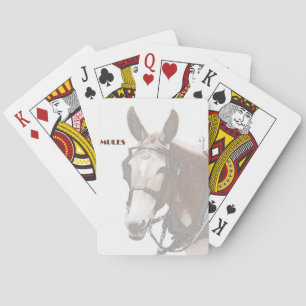 Peilkarte Spielkarten