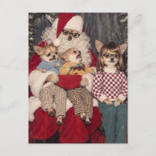 Peinliches Chihuahua-Weihnachtsfoto mit Santa Postkarte