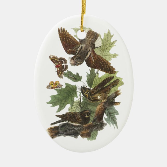 Peitsche-arm-werden Sie, John Audubon Keramikornament (Vorne)