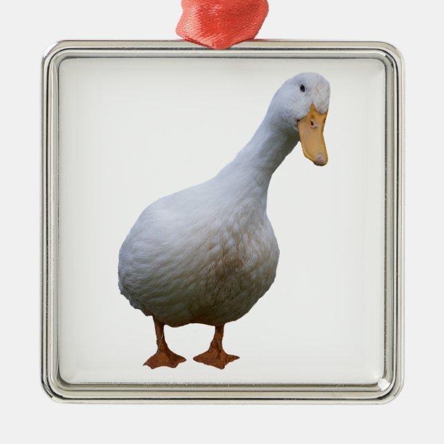 Pekin Duck Ornament (Vorne)