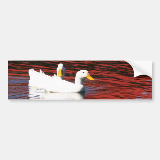 Pekin-Enten Autoaufkleber