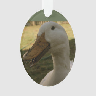 Pekin Enten-Verzierung Ornament