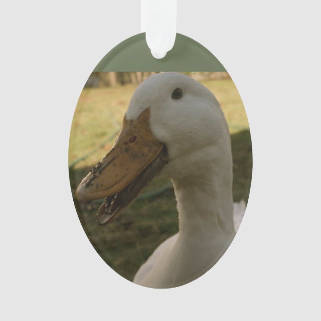 Pekin Enten-Verzierung Ornament (Vorderseite)