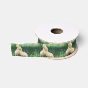 Pekin Entlein Ripsband