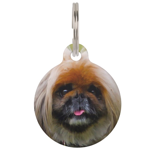 Pekinese Hund. Haustiermarke (Vorderseite)
