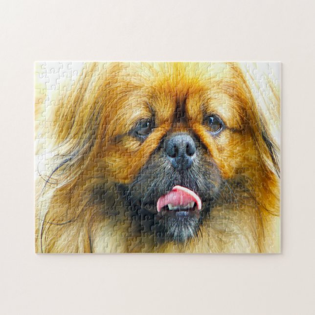 Pekinese Hund. Puzzle (Horizontal)