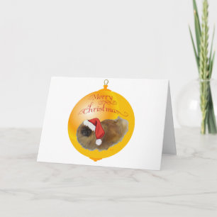 Pekinger Weihnachten