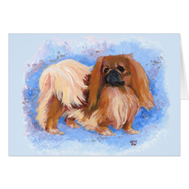 Pekingese (Vorderseite (Horizontal))