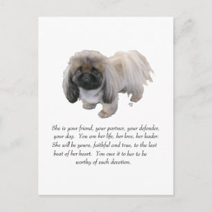 Pekingese Andenken - WEIBLICH Postkarte