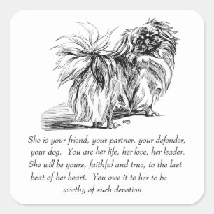 Pekingese Andenken - WEIBLICH Quadratischer Aufkleber