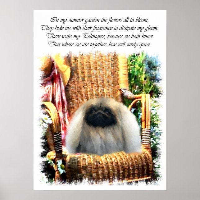 Pekingese Art Print Poster (Vorne)