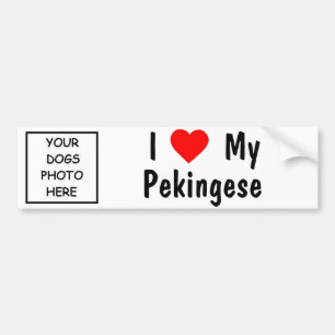 Pekingese Autoaufkleber