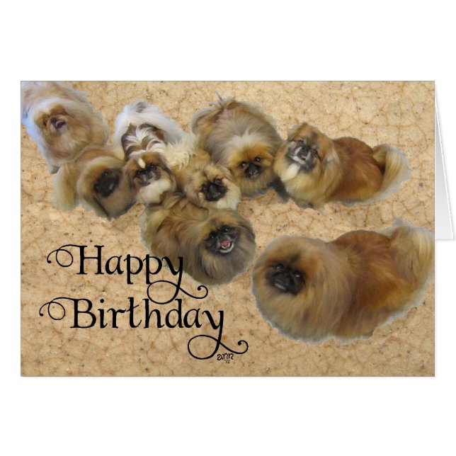 Pekingese Birthday Grußkarte (Vorderseite (Horizontal))