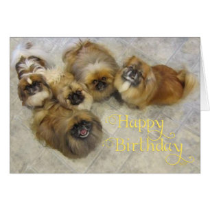 Pekingese Birthday Grußkarte