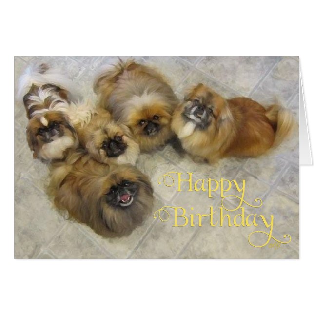 Pekingese Birthday Grußkarte (Vorderseite (Horizontal))