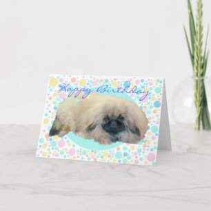 Pekingese-Blasen-Glück Karte