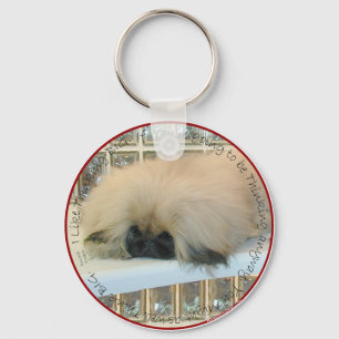 Pekingese denkt groß schlüsselanhänger