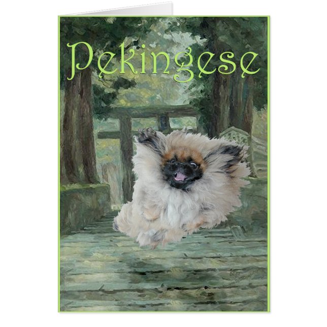 Pekingese Dog Oriental Gate (Vorne)