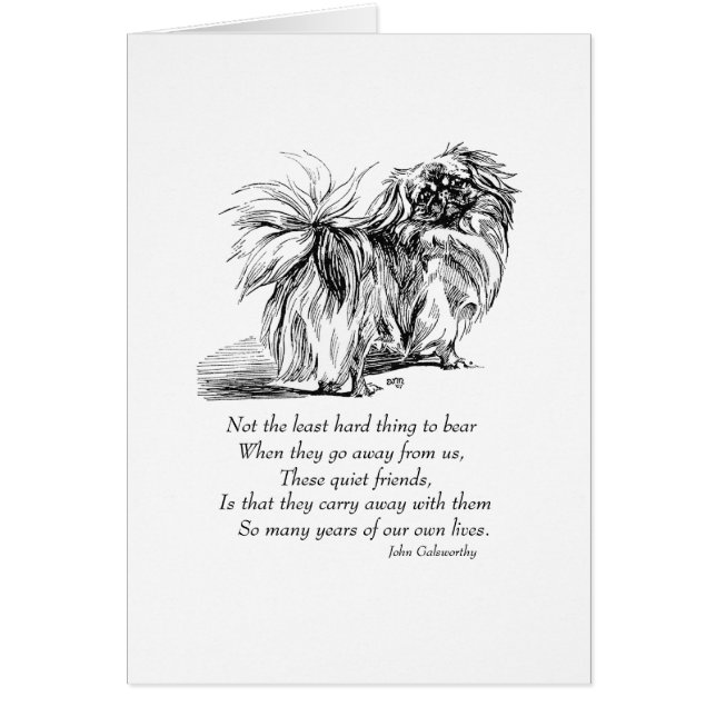 Pekingese Dog Rainbow Bridge (Vorne)