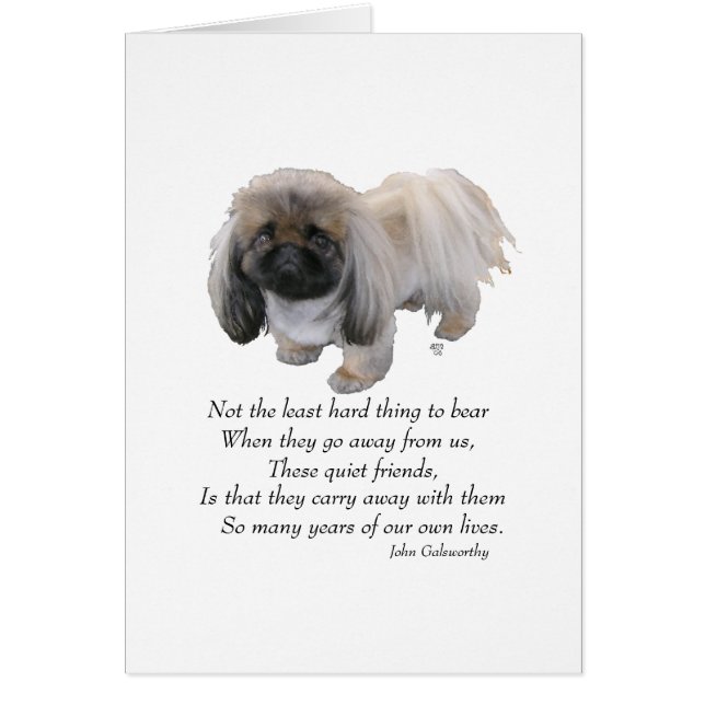 Pekingese Dog Rainbow Bridge (Vorne)