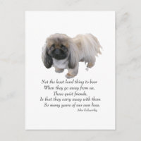 Pekingese Dog Rainbow Bridge