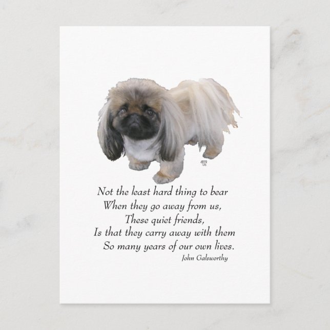 Pekingese Dog Rainbow Bridge Postkarte (Vorderseite)