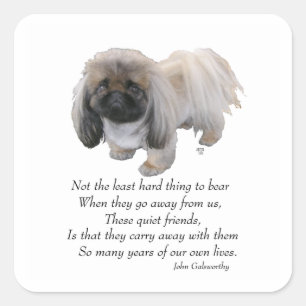 Pekingese Dog Rainbow Bridge Quadratischer Aufkleber