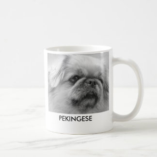 Pekingese, entzückend störrisch und mit tasse