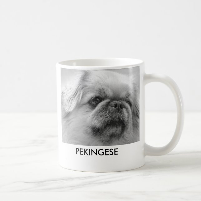 Pekingese, entzückend störrisch und mit tasse (Rechts)