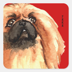 Pekingese Farbblock Quadratischer Aufkleber