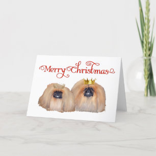 Pekingese feiern Weihnachten