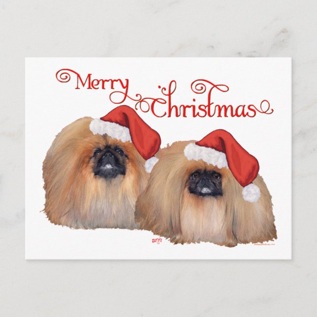 Pekingese Frohe Weihnachten (Vorderseite)
