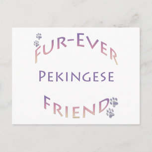 Pekingese Furever Postkarte