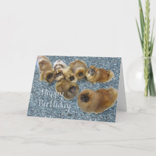 Pekingese-Geburtstagskarte Karte
