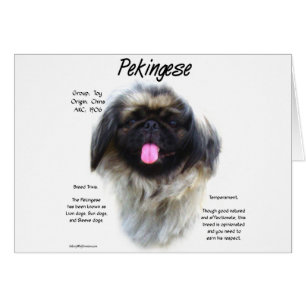 Pekingese Geschichtsdesign