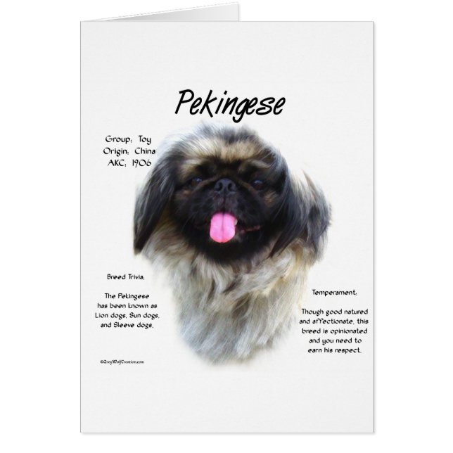 Pekingese Geschichtsdesign (Vorne)
