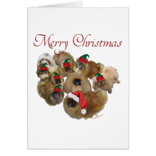 Pekingese-Gruppe Weihnachten