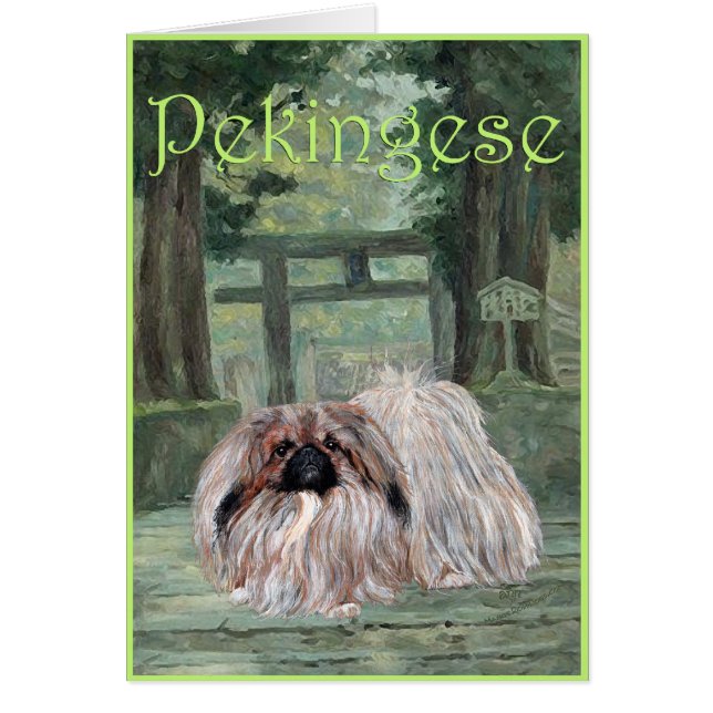 Pekingese Grußkarte (Vorne)