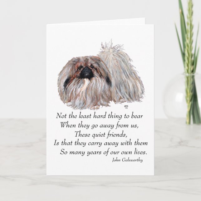 Pekingese Grußkarte Karte (Vorderseite)