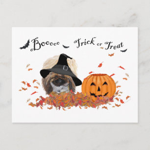 Pekingese Halloween Postkarte