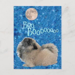 Pekingese Halloween Postkarte