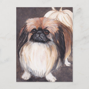 Pekingese Hund Art Postkarte