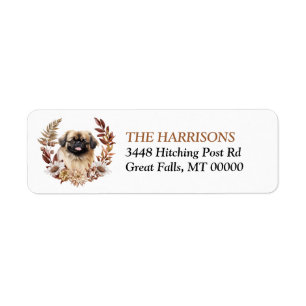 Pekingese Hund Herbstreath